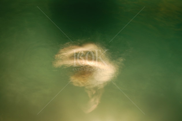 Copyright Andrew Bock. All rights protected.